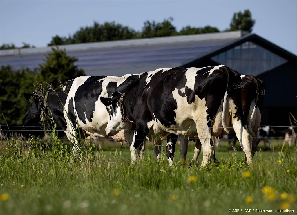 Stikstofoverschot in landbouw schommelt, in 2022 stijging te zien