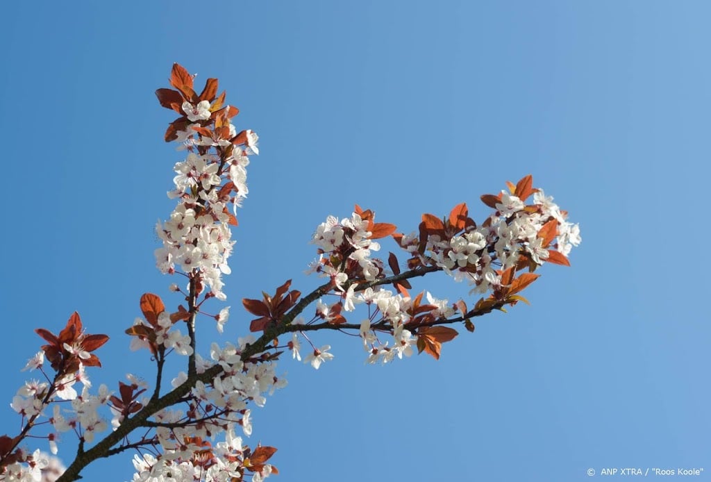 Klimaatverandering: februari al 1,6 graden opgewarmd