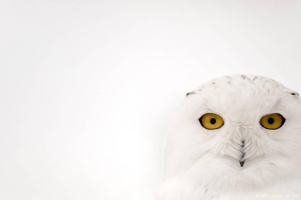 40 soorten toegevoegd aan lijst beschermde wilde dieren