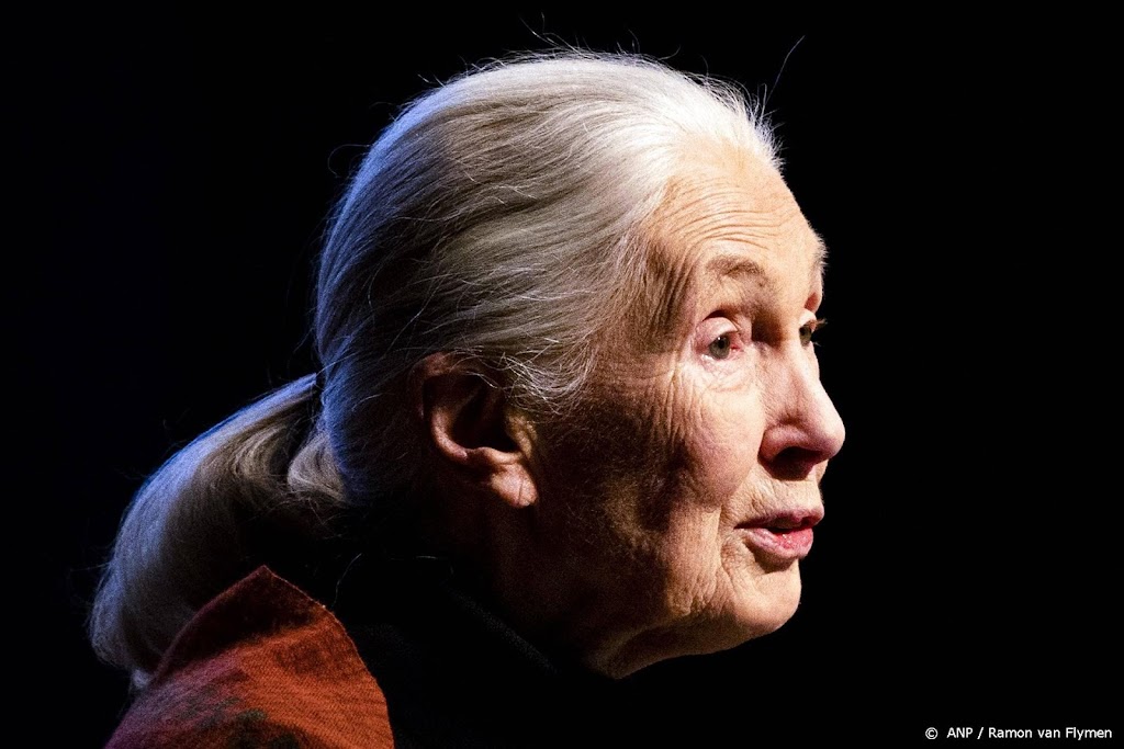 Koninklijke onderscheiding voor bioloog Jane Goodall 