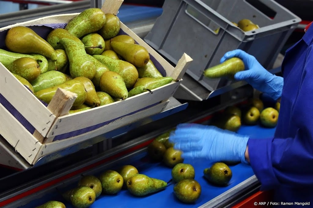 Vertrouwen van Nederlandse producenten daalt verder in april