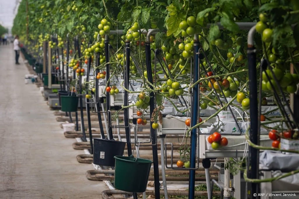 Brussel staat tijdelijk meer staatssteun toe om energiecrisis