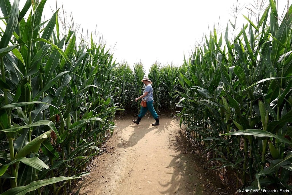 Gewasprijzen op hoogste niveau sinds 2023 door Iranoorlog