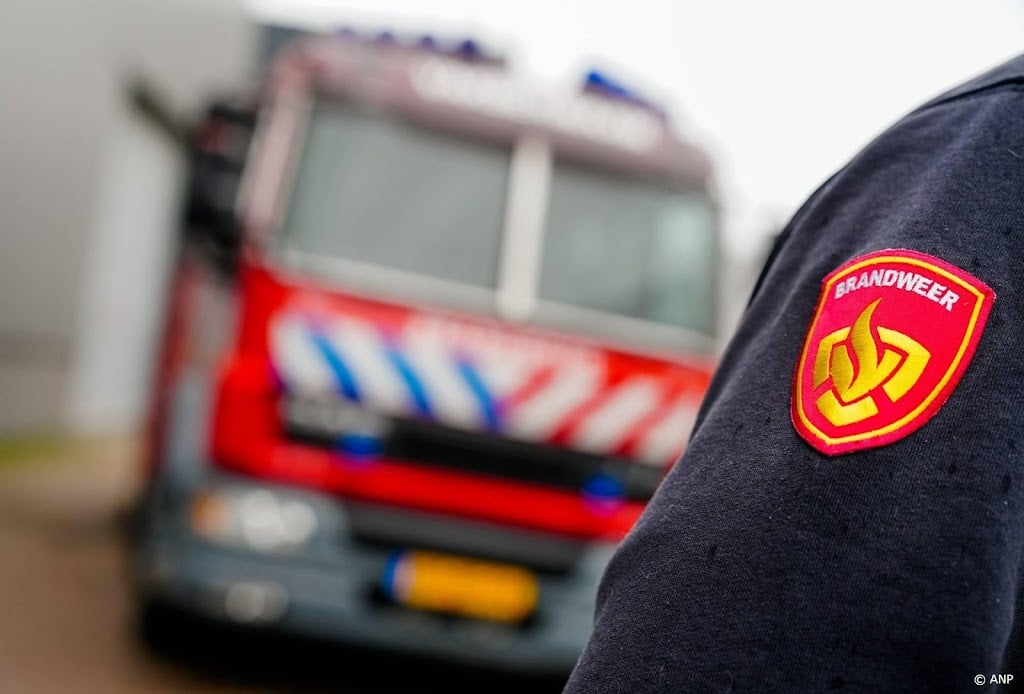 Natuurbrand in bos bij Den Ham in Overijssel