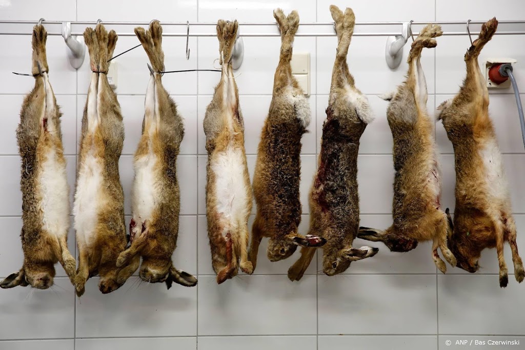 Onderzoek: minder wilde dieren gegeten door corona