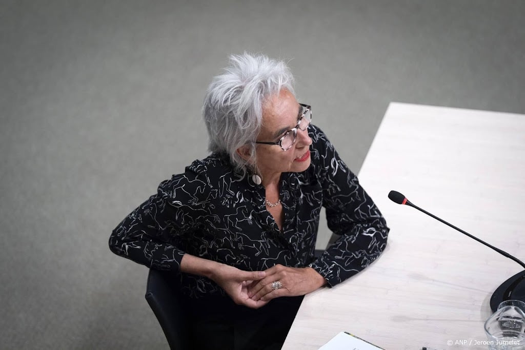Koopmans: politici wakkerden 'bizarre' bedreigingen aan