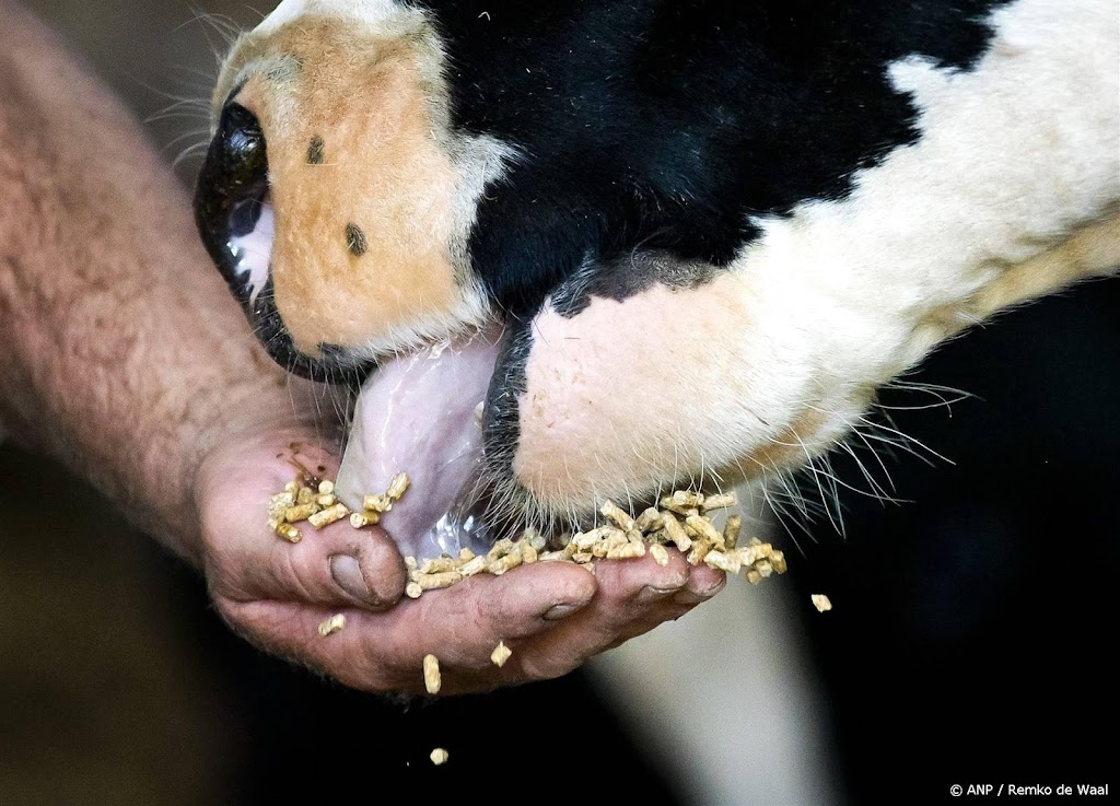 Veevoerbedrijf ForFarmers wil branchegenoot Van Triest overnemen