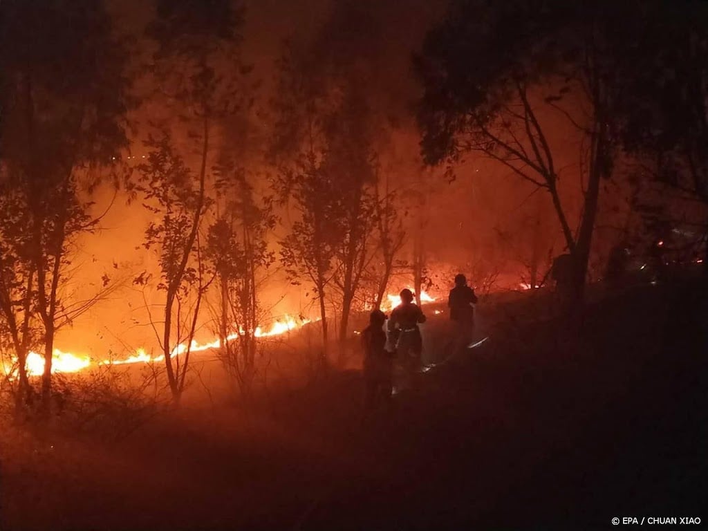Meerdere doden door bosbranden in Turkije