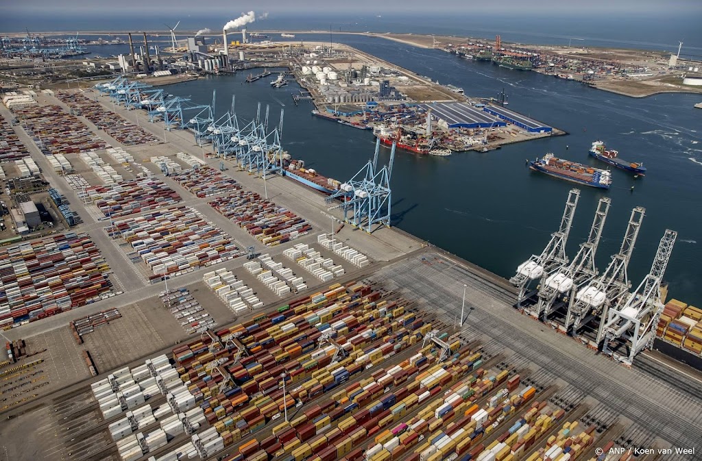 Douane onderschept voor 35 miljoen euro coke in haven Rotterdam