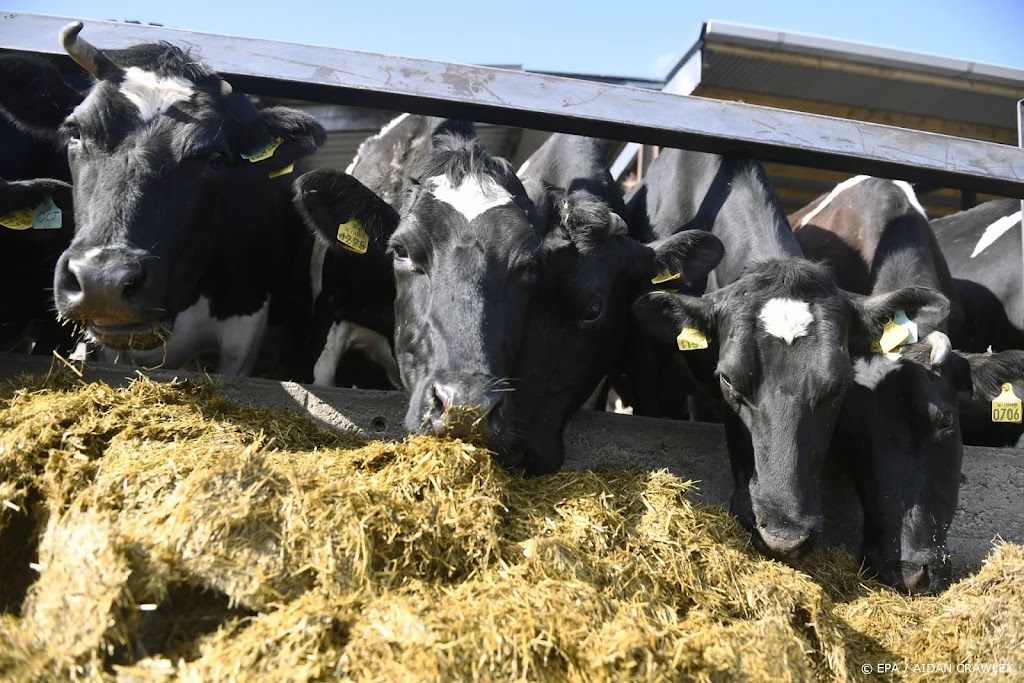 Krant: ook Ierse veestapel moet krimpen vanwege milieudoelen