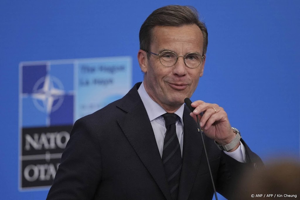 Zweden en Frankrijk sturen dronebestrijders naar Denemarken 