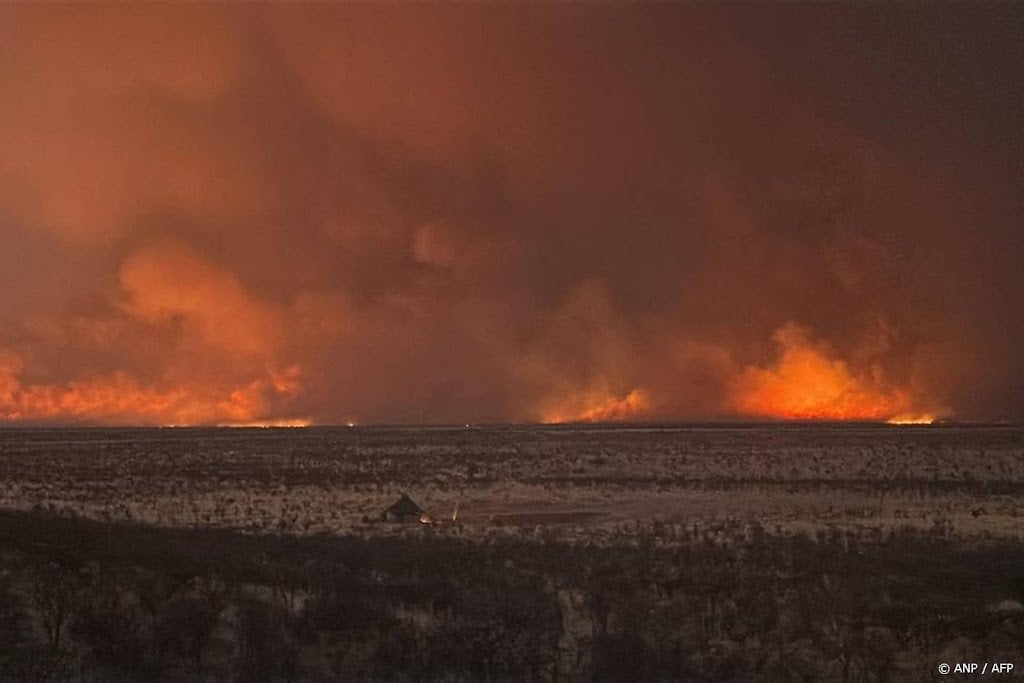 Groot deel van wildpark in Namibië verwoest door brand