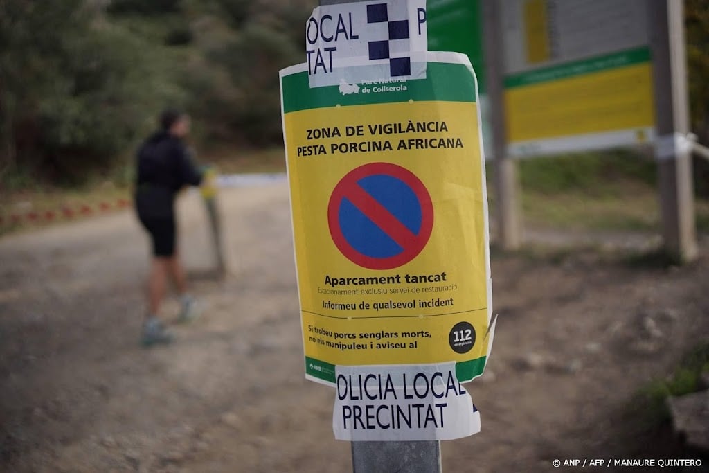 Uitbraak varkenspest bedreigt export Spaans varkensvlees