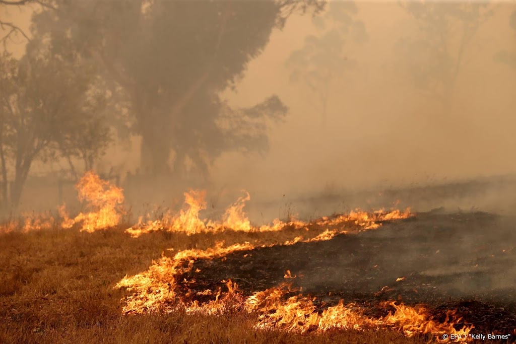 Door bosbranden en luchtvervuiling geen vuurwerk in Australië