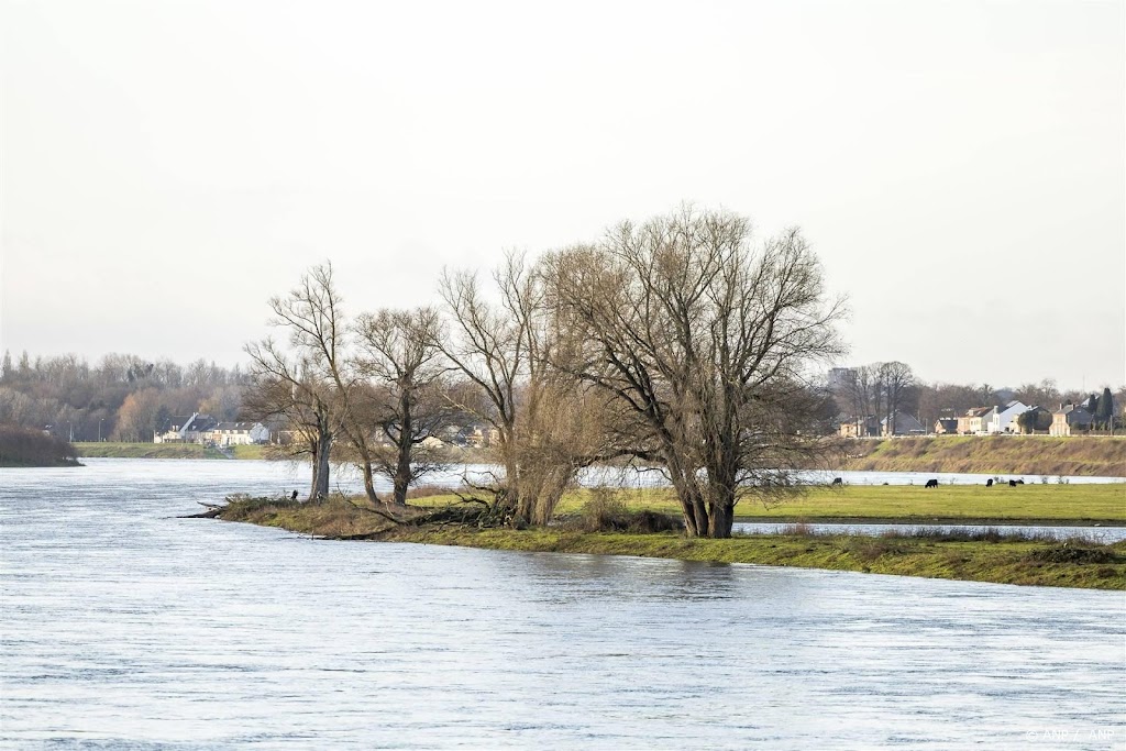Koppige stier die van geen wijken wist van landtong gehaald