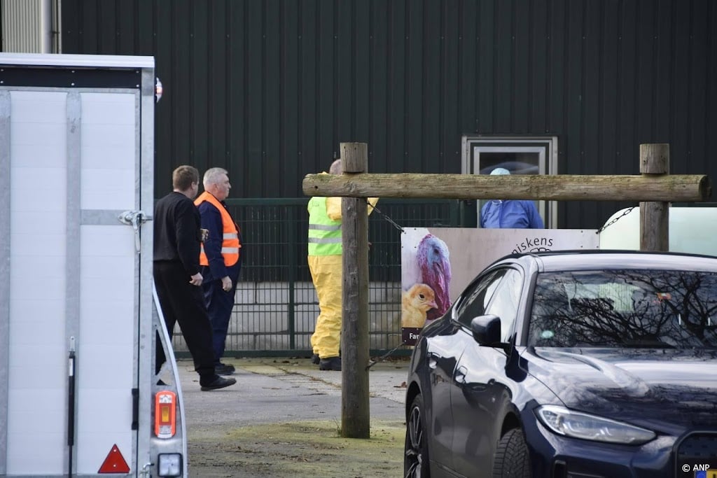 Weer vogelgriep vastgesteld op pluimveebedrijf in Ysselsteyn
