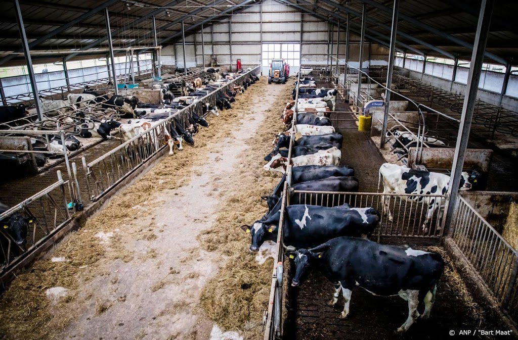 Stikstofuitstoot veehouders opnieuw gedaald