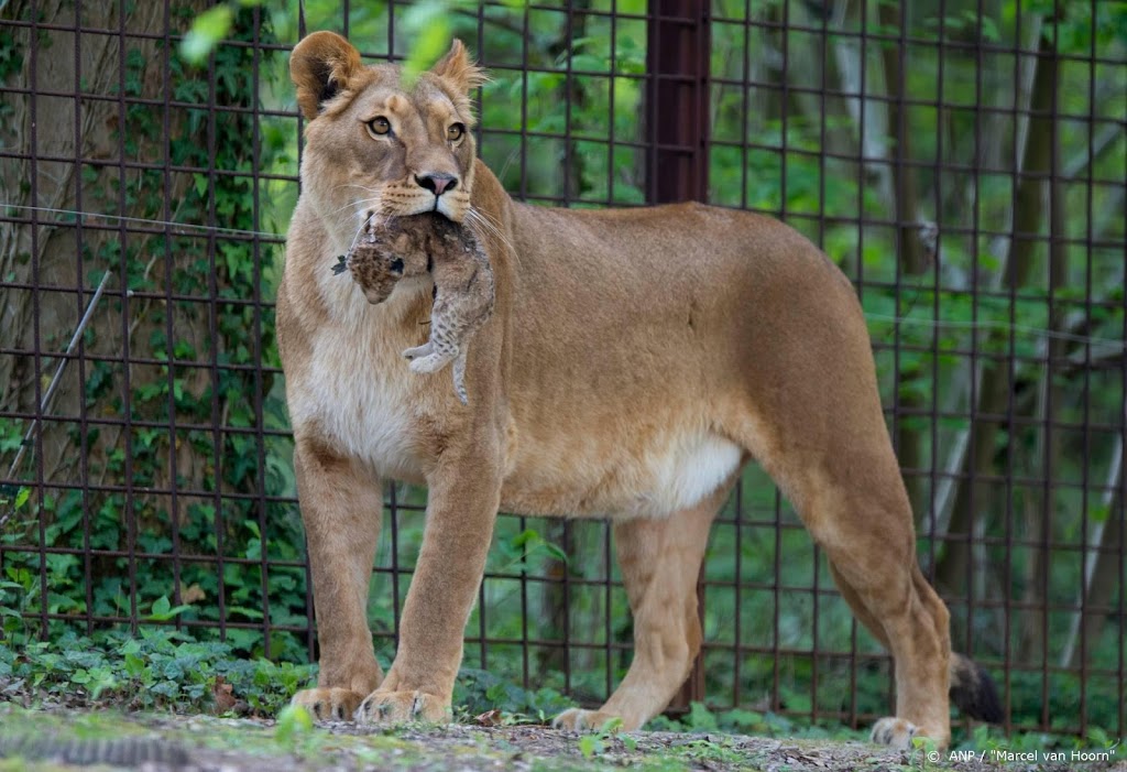 GaiaZOO in Kerkrade uitgeroepen tot leukste uitje