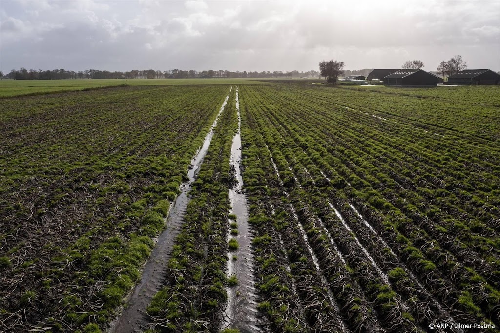 Natte weersomstandigheden zaten aardappelboer dwars