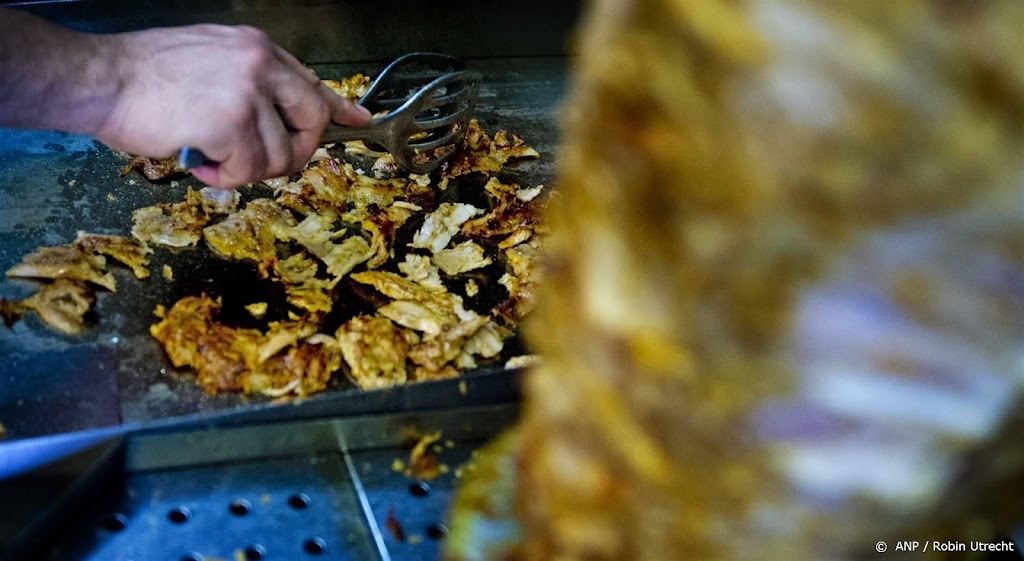Salmonella-uitbraak gelinkt aan kebabvlees, ook in Nederland