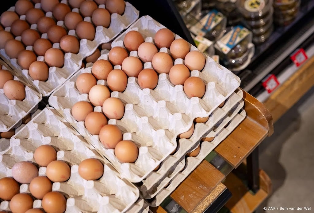 Prijspeiling Consumentenbond: prijzen eieren naar recordhoogte