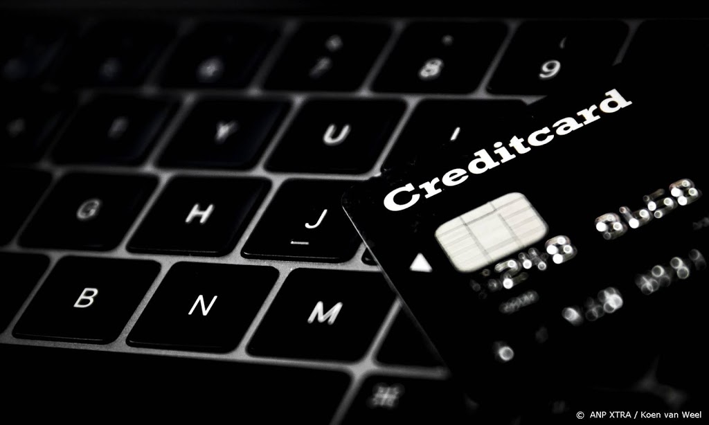 Winkelomzet gestegen dankzij onlineshoppen