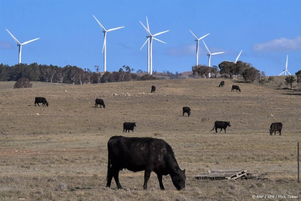 Chinese regering heft ban op Australisch rundvlees op