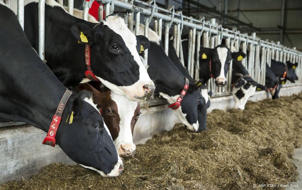 Te veel stikstof in mest melkkoeien, minder bij varkens en kippen