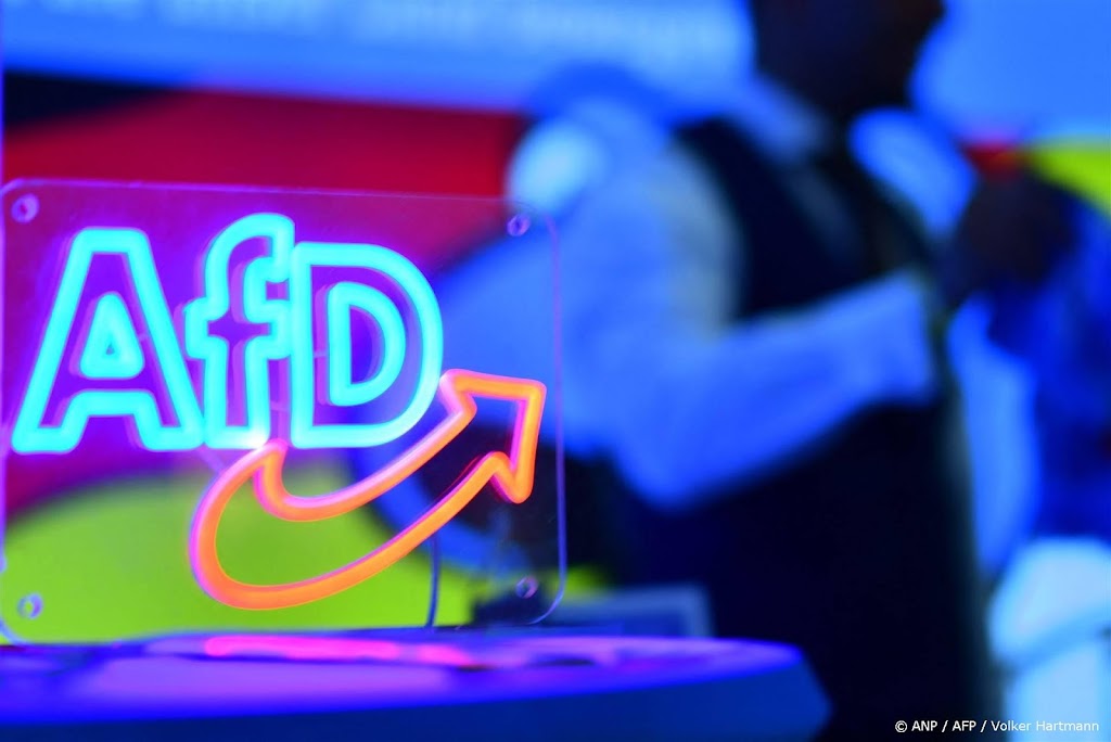 Duitse AfD stapt uit radicaal-rechtse EU-groep ID