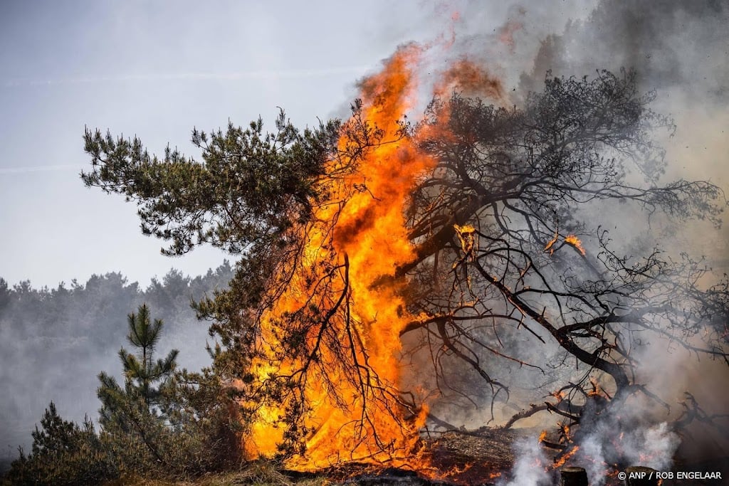 Defensie scherpt regels voor oefenen aan na natuurbranden