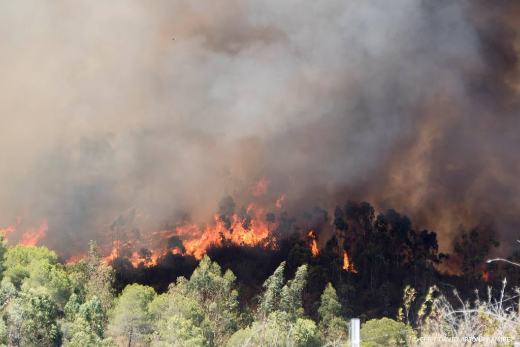 Meerdere doden en veel gewonden door bosbranden in Turkije
