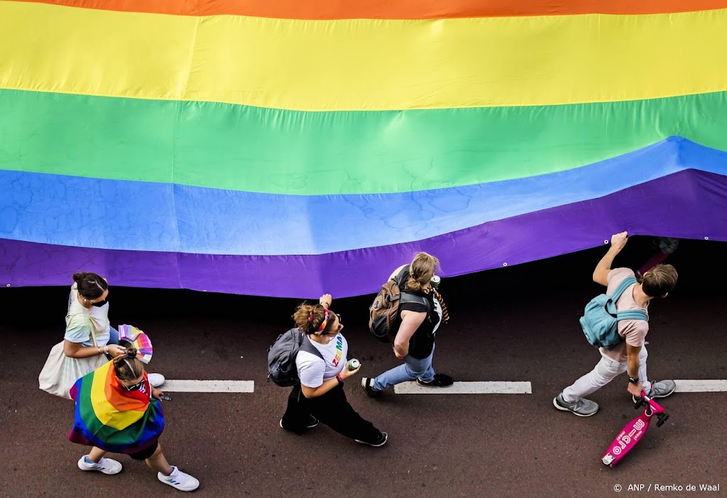 Deelnemers Pride Walk demonstreren voor meer gelijkheid lhbti'ers