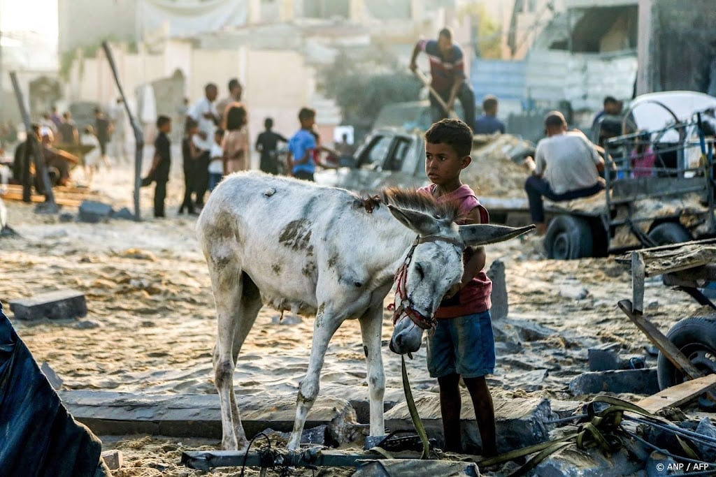 VN-rapporteur martelingen waarschuwt voor honger in Gaza