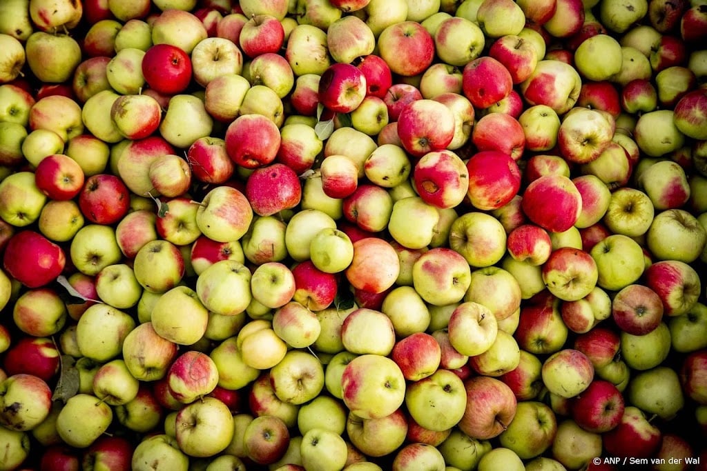 Dit najaar duurdere en kleinere vruchten door droogte