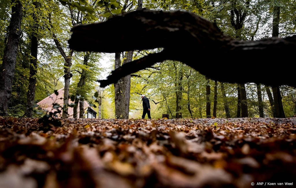 'Herfst wordt natter dan normaal'