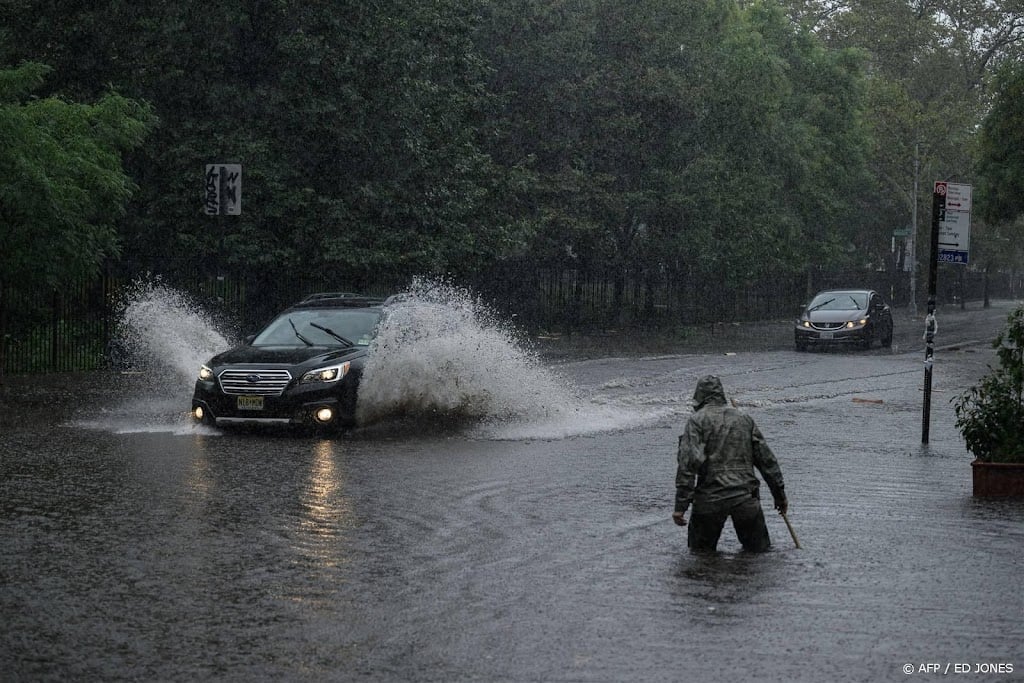 Zware regenval New York: zeeleeuw zwemt uit dierentuinverblijf