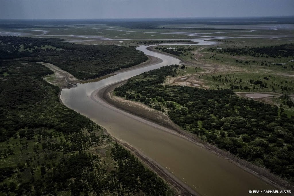 Extreme hitte in Amazonegebied noodlottig voor dolfijnen