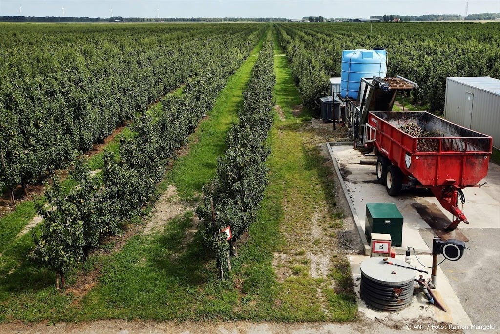 EU-Rekenkamer: natuur ondermijnd door coulant landbouwbeleid 