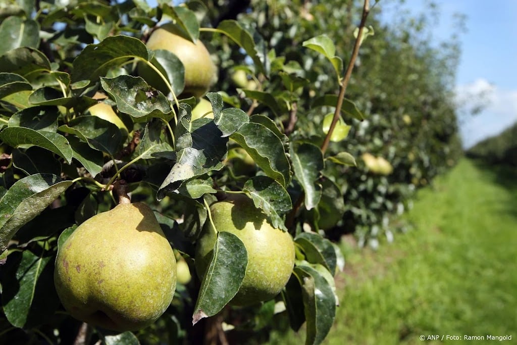EU-landen akkoord met omstreden versoepeling pesticiden