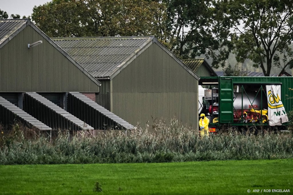 107.000 kippen geruimd na uitbraak vogelgriep op groot bedrijf