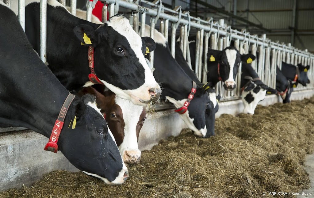 Veestapel krimpt maar is nog altijd groter dan in 2012