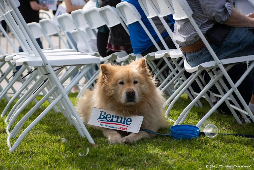 'Bernie Sanders is gezond en kan de VS leiden'