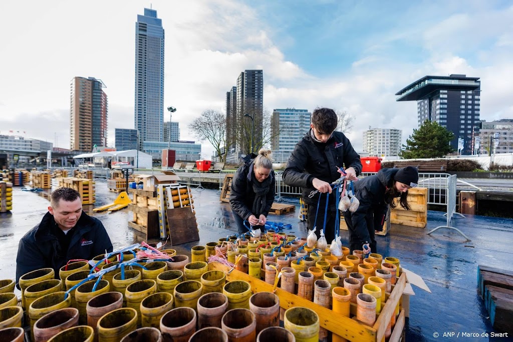 Besluiten over vuurwerkshows in grote steden vallen zaterdag