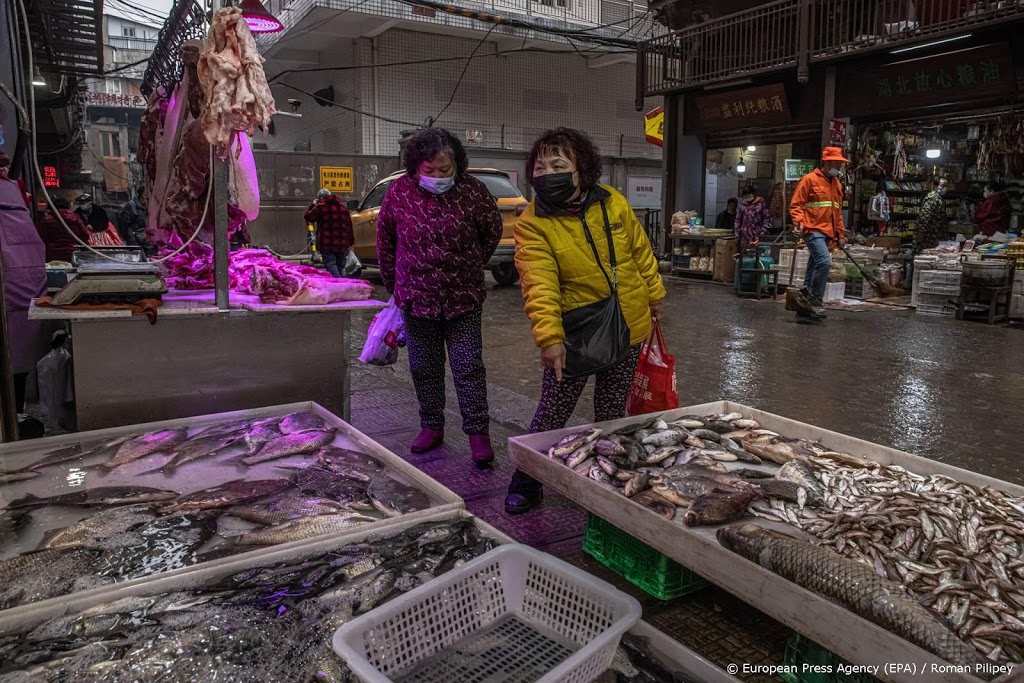 WHO-team Koopmans naar grote vismarkt in Wuhan