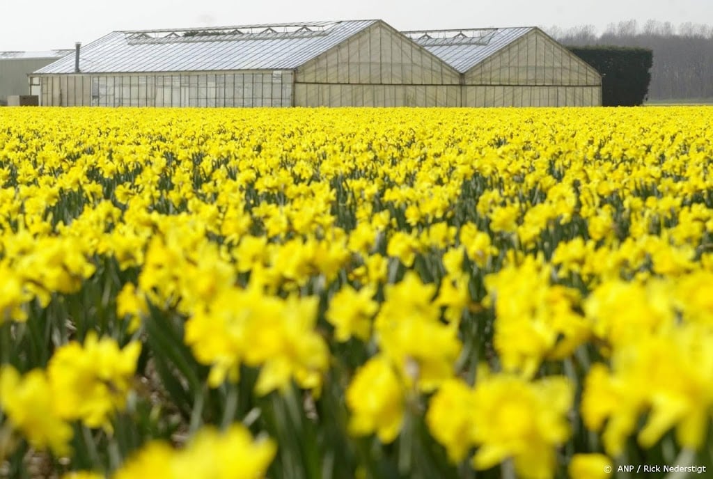 Duurzame glastuinbouwprojecten dreigen om te vallen door duur gas