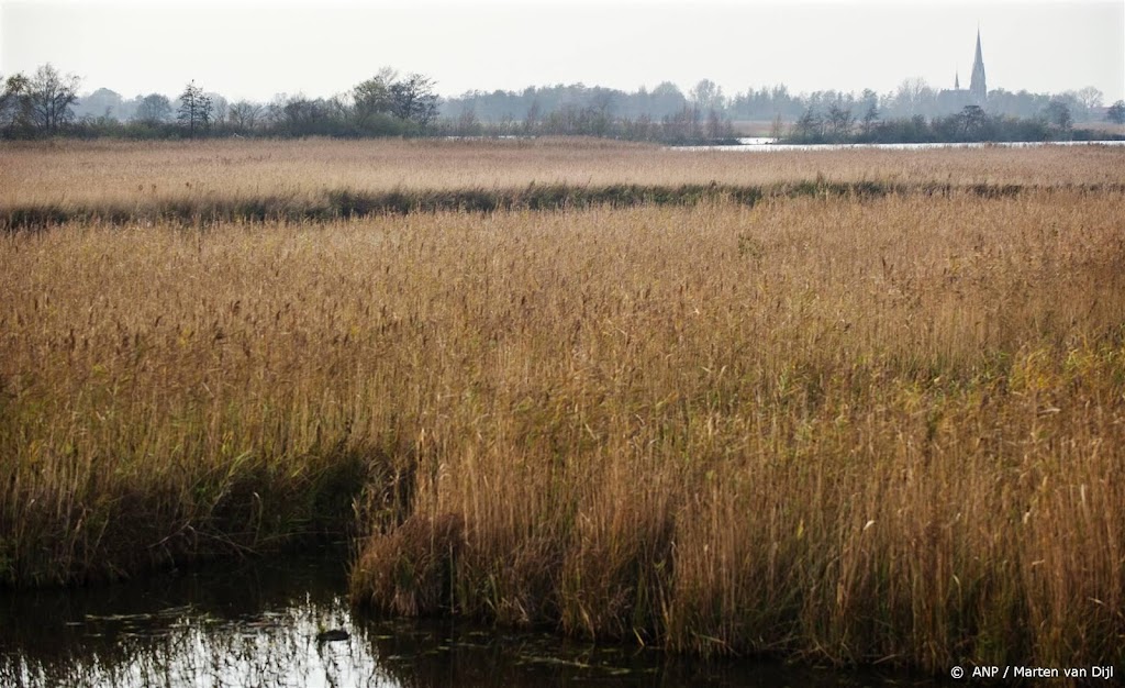 Nieuwe autoriteit geeft eerste adviezen natuurplannen provincies