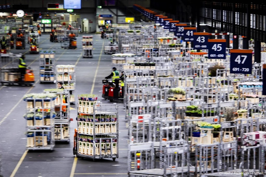 Royal FloraHolland draait verlies door hoge energiekosten