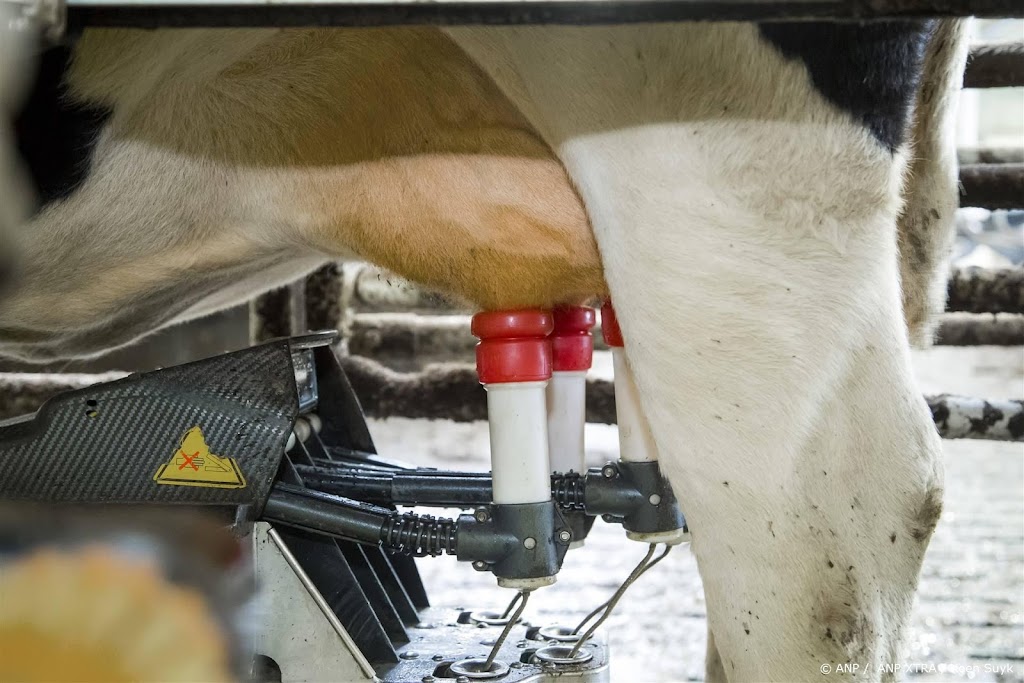 Melkboer raakt een derde inkomen kwijt door nieuwe mestregels