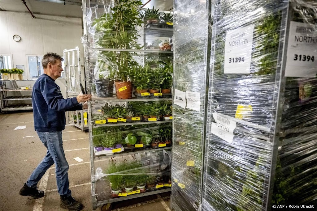 Meer Nederlandse exporteurs ervaren problemen door inspecties VK