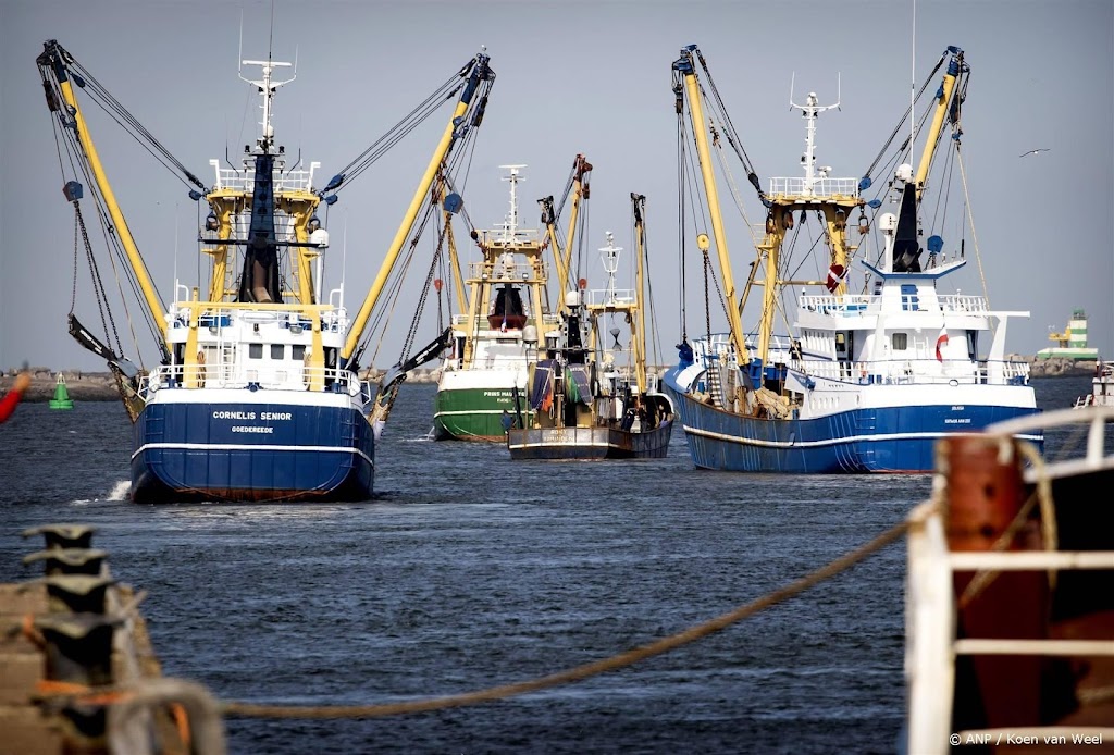 Onderzoeker: snel ingrijpen nodig om verzekeren toekomst visserij